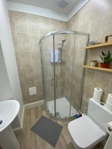 a bathroom with a shower with a toilet and a sink at The Sunflower En-suite Room in Plymouth