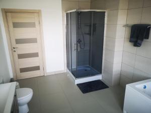 a bathroom with a shower and a toilet at Sodyba Žuvalsa 