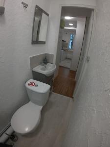 ein Badezimmer mit einem weißen WC und einem Waschbecken in der Unterkunft 40m² totalement rénovés belle vue dégagée (301) in Villeneuve-Saint-Georges