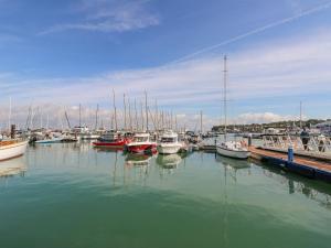 a group of boats docked in a harbor at Fleming House in Cowes