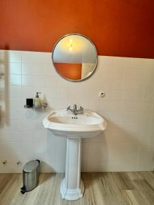 a bathroom with a sink and a mirror at Le Primaubois - 2 chambres & parking - Centre La Primaube in Flavin