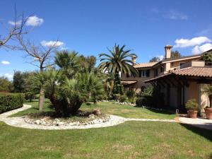 einen Hof mit Palmen und einem Haus in der Unterkunft Villa Antico Toscano in Polistena