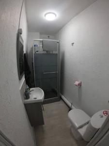 e bagno con doccia, servizi igienici e lavandino. di 40m² totalement rénovés belle vue dégagée (302) a Villeneuve-Saint-Georges