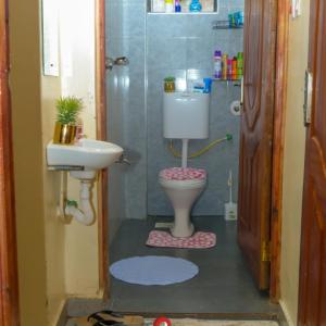 a bathroom with a toilet and a sink at Forest Cabins in Nyeri