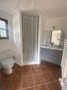 een badkamer met een toilet, een wastafel en een douche bij Studio de l'oliveraie in Aix-en-Provence