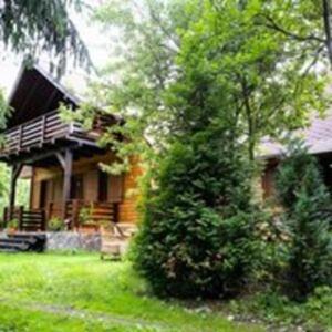 a house with a large tree in front of it at Katinka Kulcsosház - Cabana Katinka in Bucsin