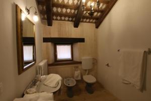 a bathroom with a sink and a toilet and a mirror at Golden spur cottage in Pulfero