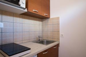 una cucina con lavandino e bancone di Apartments Petrich a Jesenice