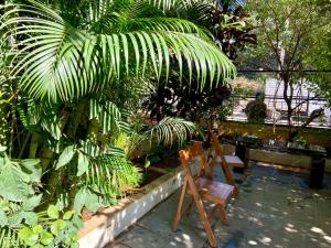 2 sillas de madera en un jardín con plantas en Bangalore Garden Flat, en Bangalore