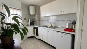 プンタ・デル・イダルゴにあるD-espacios elevados 2の白いキャビネットと鉢植えの植物が備わるキッチン