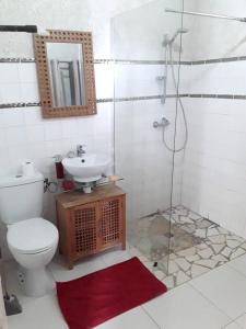 La salle de bains est pourvue de toilettes, d'un lavabo et d'une douche. dans l'établissement Propriete d'une chambre avec wifi a Petit Bourg a 4 km de la plage, à Petit-Bourg