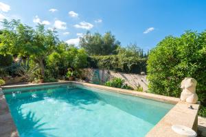 a swimming pool in a yard with trees at Villa KASHMIR in Artá