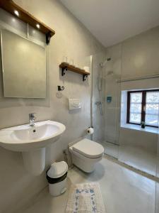 een badkamer met een wastafel, een toilet en een douche bij The Well House - UNESCO in Berat