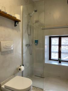 een badkamer met een douche, een toilet en een raam bij The Well House - UNESCO in Berat