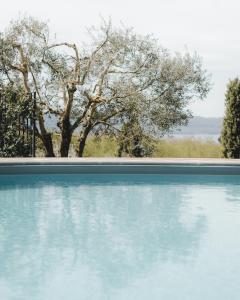 Bazén v ubytování Agriturismo La Valle Di Vico nebo v jeho okolí