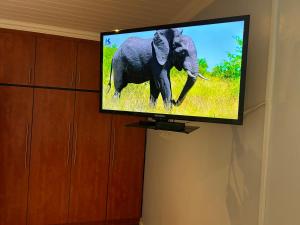 una TV a schermo piatto appesa a un muro con un elefante di INTERPRO a Bloemfontein