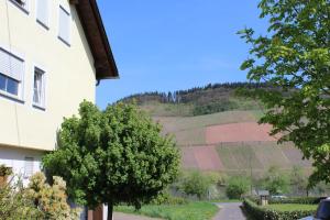 uma vista para uma colina com uma casa e uma árvore em Ferienweingut Hansjosten em Longuich