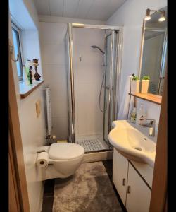 uma casa de banho com um chuveiro, um WC e um lavatório. em Pokój z prywatną łazienką i kuchnią z hot pot em Keflavík