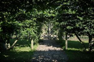 a path through a group of trees in a park at Characterful Yorkshire cottage, beautiful views in York