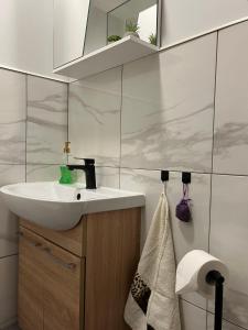 a bathroom with a sink and a mirror at Luguse Älfi Maja 