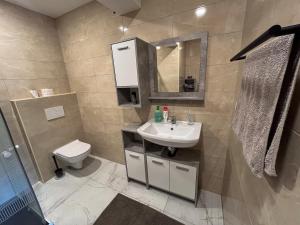 a bathroom with a sink and a toilet at Apartment Mandy in Rečica ob Savinji