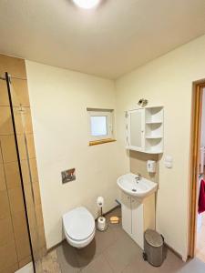 a bathroom with a toilet and a sink at Domki w Wytownie k. Ustki in Wytowno