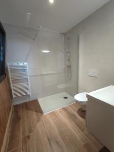 a bathroom with a shower and a toilet and a sink at La sentinelle du cap Bear in Port-Vendres