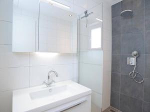 德科赫的住宿－Roggesloot，白色的浴室设有水槽和淋浴。