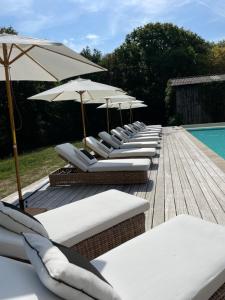 - une rangée de chaises longues et de parasols à côté de la piscine dans l'établissement La chêneraie de Tomélou - belle propriété avec piscine chauffée et gardien, à Grignols