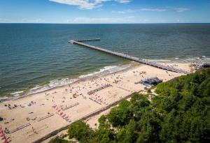 an aerial view of a beach with a pier at Panoramic Apt in the City center in Palanga