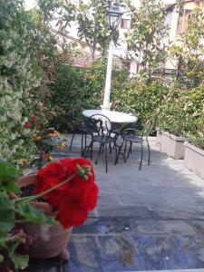 Fotografie z fotogalerie ubytování Villa Manuela v destinaci Altopascio