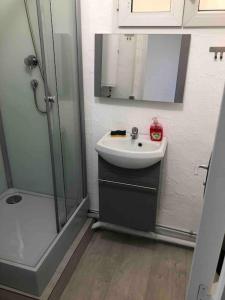 y baño con lavabo y ducha. en 40m² totalement rénovés belle vue dégagée (002), en Villeneuve-Saint-Georges
