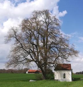 Φωτογραφία από το άλμπουμ του Ferien im Feuerwehrhaus σε Gars am Inn