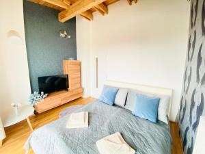 a bedroom with a bed with blue pillows and a tv at Dream apartment in Bratislava