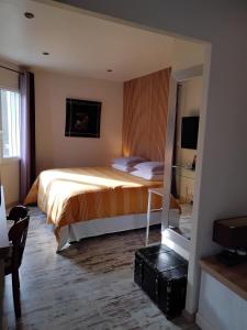 Habitación de hotel con cama y TV en Chambres d'Hôtes Villa Aquitaine en Bretagne-de-Marsan