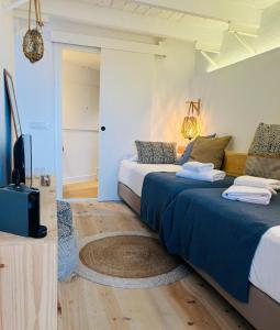 2 camas en una habitación con TV y alfombra en Hostal Sa Teula, en Llafranc