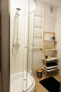 a bathroom with a shower and a toilet at Nowoczesny Apartament Prudnik in Prudnik