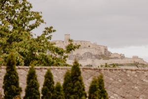 a castle on top of a hill with trees at Penzion St. Martin in Spišské Podhradie