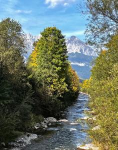 Priroda u blizini kolibe