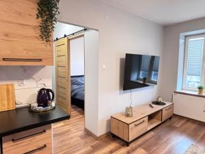 a living room with a large mirror and a tv at Apartament w centrum in Łódź