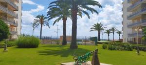 ラ・ピネーダにあるFor a Stay Pineda Marの椰子の木と芝生のベンチがある公園