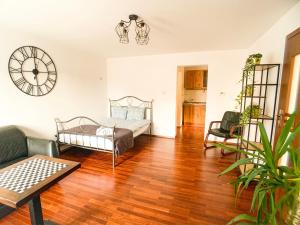 sala de estar con cama y reloj en la pared en Apartament przy parku, en Toruń 6 fotos más