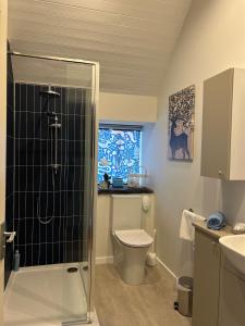 a bathroom with a shower and a toilet and a sink at Drumguish Cottage in Kingussie