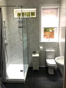a bathroom with a shower and a toilet and a sink at Silverdale Apartments in Eastbourne