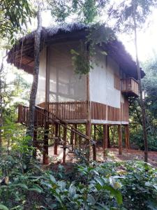 ein Haus mit einer Terrasse im Wald in der Unterkunft EcoAraguaia Jungle Lodge 