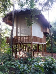 a house with a deck in the woods at EcoAraguaia Jungle Lodge in Caseara