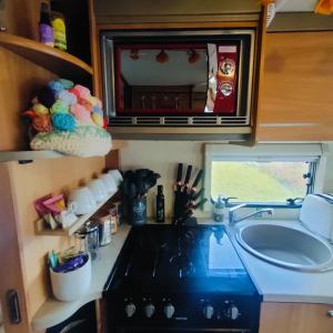 a kitchen with a sink and a microwave at Kintyre Caravan in Portree