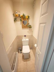 a small bathroom with a toilet and a mirror at Holme Lea, Ingleton, North Yorkshire in Ingleton 