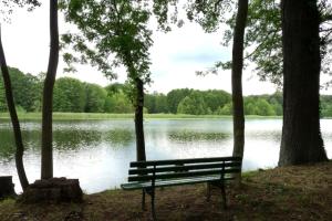 un banc de parc assis en face d'un lac dans l'établissement 28m Ferienhaus am Rande des Spreewalds, à Bornsdorf