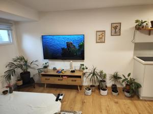 המקום של מוש電視和／或娛樂中心